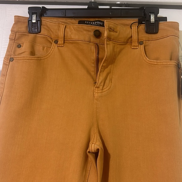 Liverpool piper hugger ankle skinny jeans - amber dawn - Picture 3 of 10